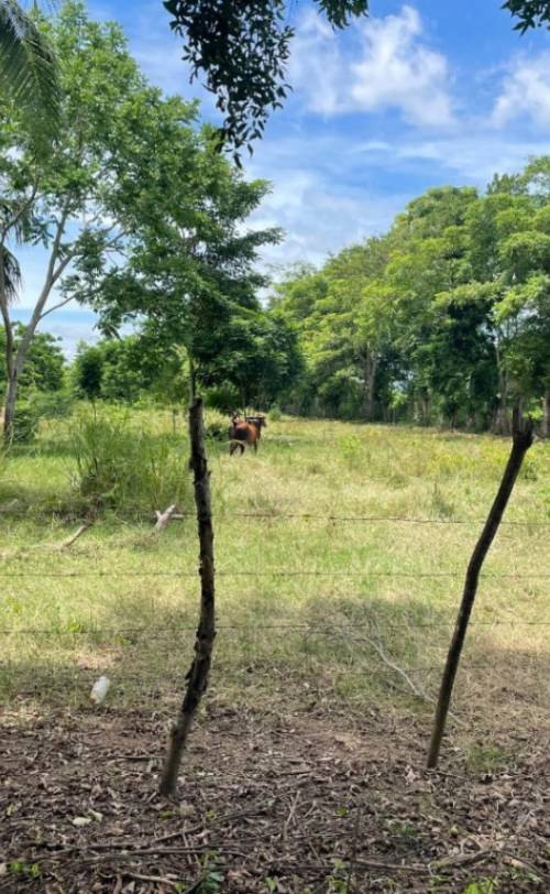 Lote en venta en Cereté